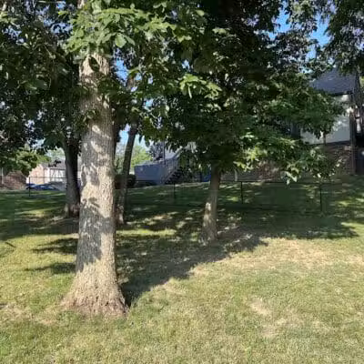 Olentangy Commons Small Dog Park - Columbus, OH