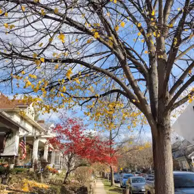 Olentangy Trail - Columbus, OH