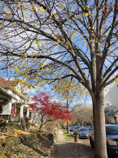 Olentangy Trail - Columbus, OH