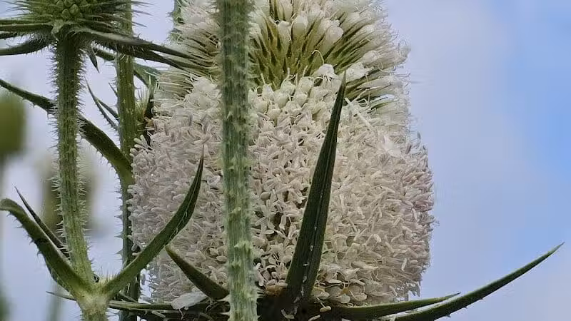 Olentangy Trail - Columbus, OH