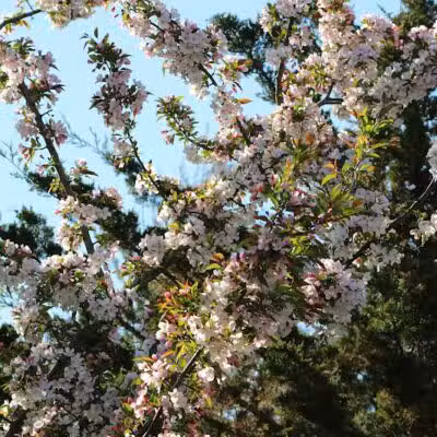 Olentangy Trail - Columbus, OH