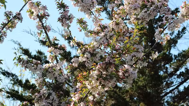 Olentangy Trail - Columbus, OH