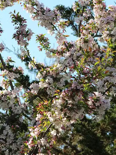 Olentangy Trail - Columbus, OH