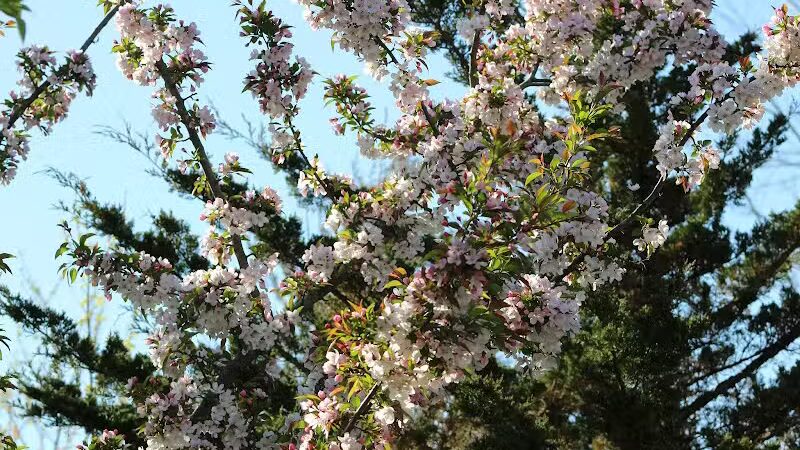 Olentangy Trail - Columbus, OH