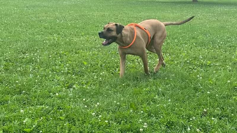 Olentangy Trail - Columbus, OH