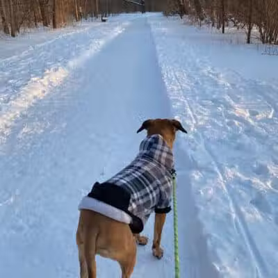 Olentangy Trail - Columbus, OH