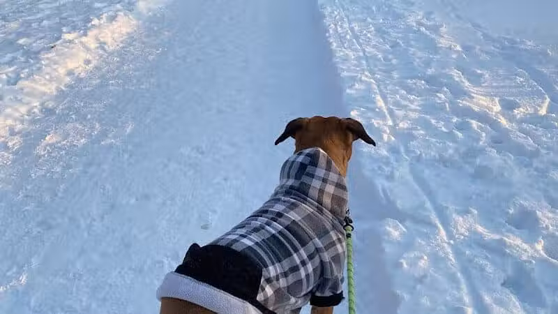 Olentangy Trail - Columbus, OH