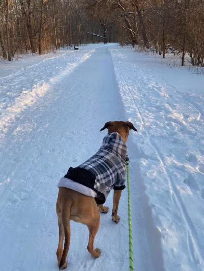 Olentangy Trail - Columbus, OH