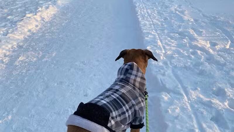 Olentangy Trail - Columbus, OH