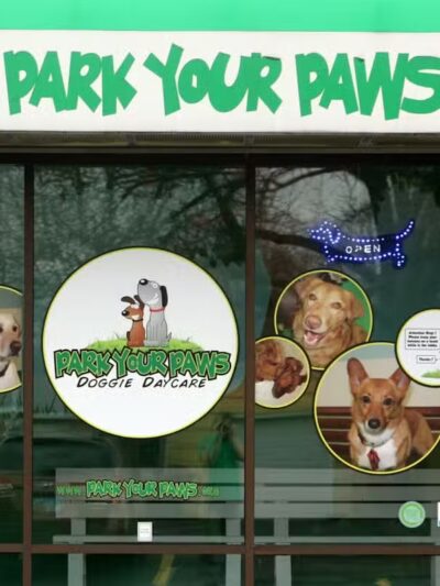 Park Your Paws - Columbus, OH