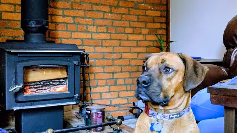 Park Your Paws - Columbus, OH