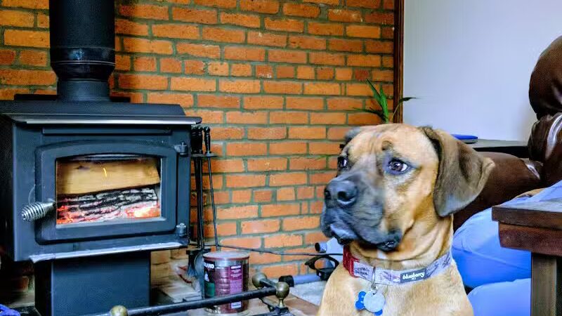 Park Your Paws - Columbus, OH