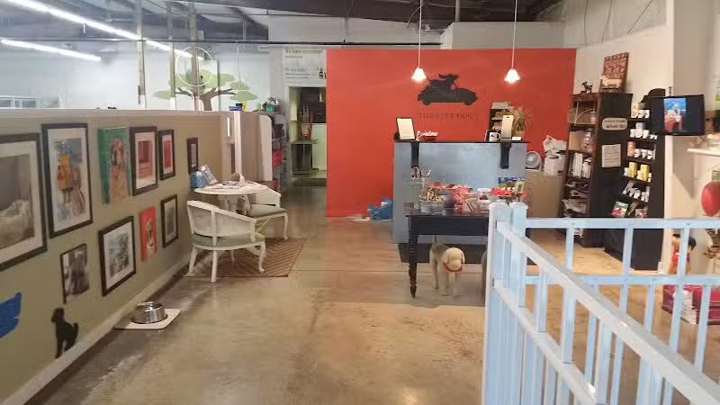 Park Your Paws - Columbus, OH