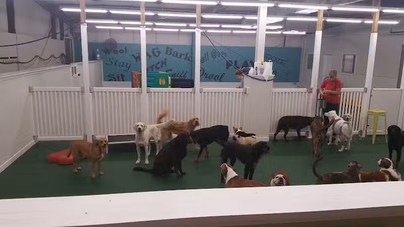 Park Your Paws - Columbus, OH