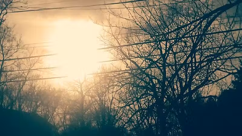 Pumphrey Park - Columbus, OH