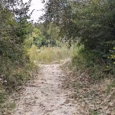 Quarry Trails Dog Park - Columbus, OH