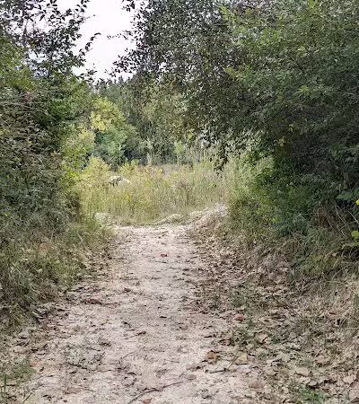 Quarry Trails Dog Park - Columbus, OH