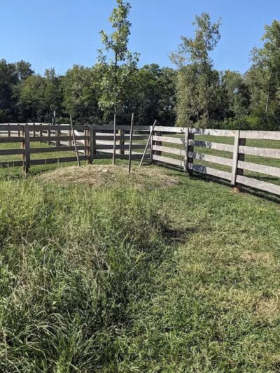 Quarry Trails Dog Park - Columbus, OH