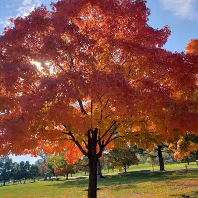 Rhodes Park - Columbus, OH