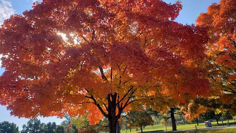 Rhodes Park - Columbus, OH