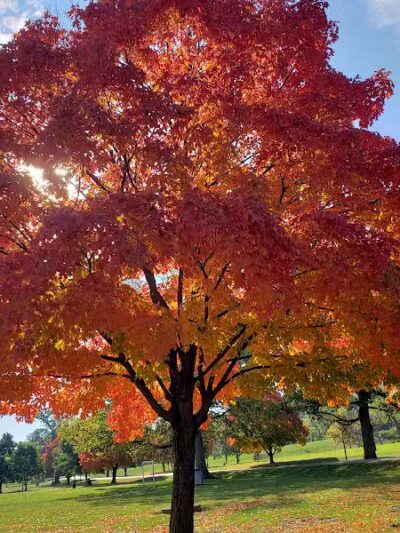 Rhodes Park - Columbus, OH