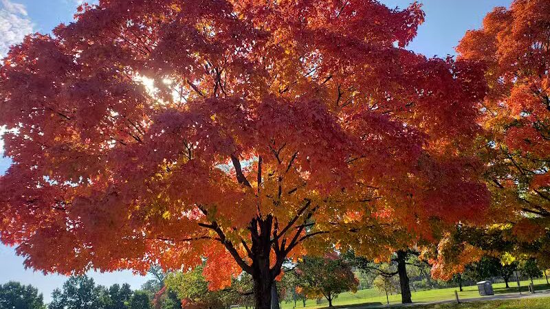 Rhodes Park - Columbus, OH