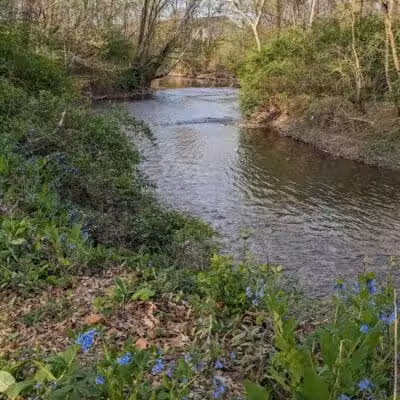 Rhodes Park - Columbus, OH