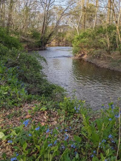 Rhodes Park - Columbus, OH