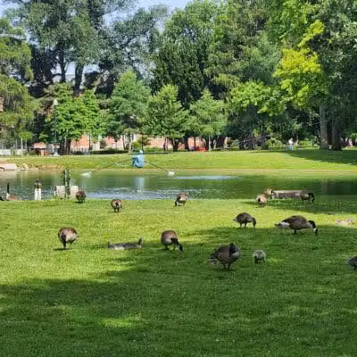 Schiller Park - Columbus, OH
