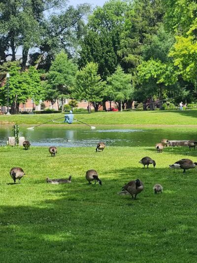 Schiller Park - Columbus, OH