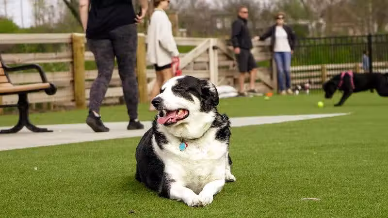 Scioto Audubon Dog Park - Columbus, OH
