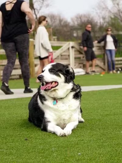 Scioto Audubon Dog Park - Columbus, OH