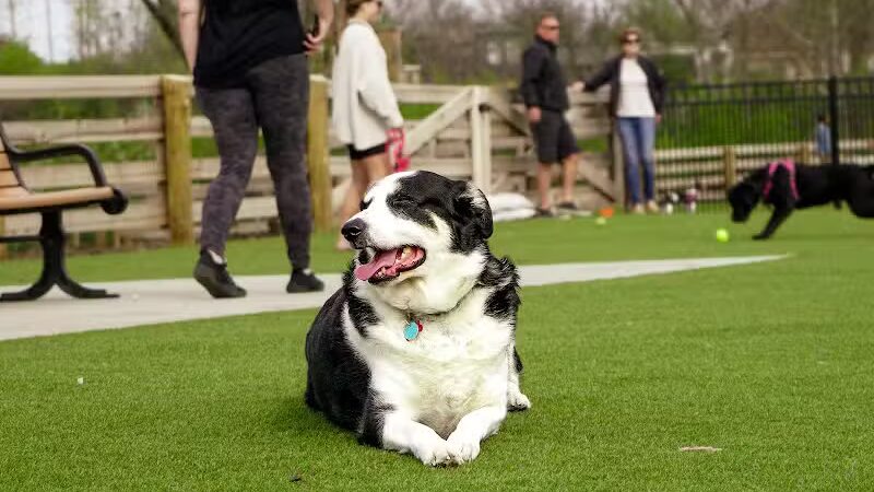 Scioto Audubon Dog Park - Columbus, OH