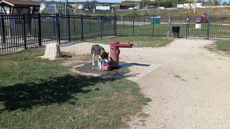 Scioto Audubon Dog Park - Columbus, OH