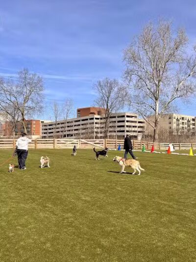Scioto Audubon Dog Park - Columbus, OH