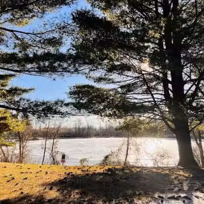 Three Creeks Park Dog Park - Columbus, OH