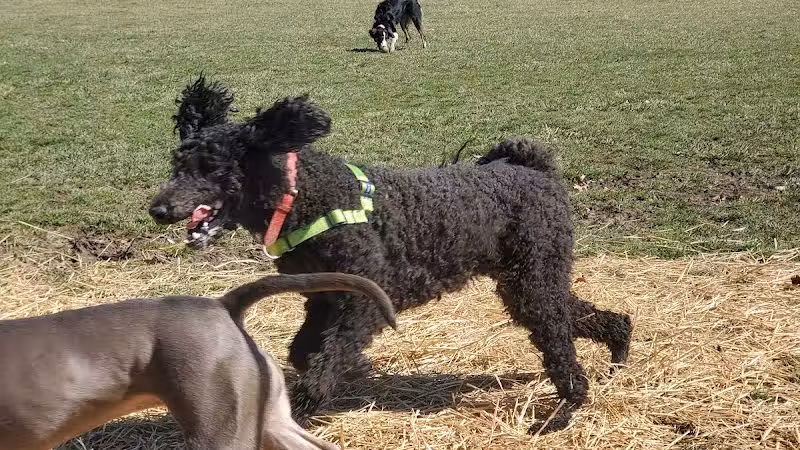 Three Creeks Park Dog Park - Columbus, OH