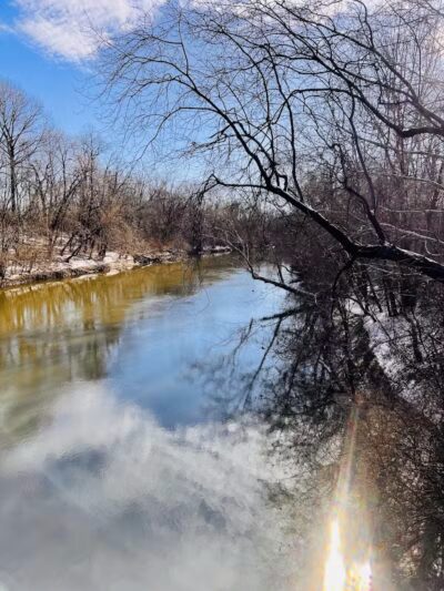 Three Creeks Park Dog Park - Columbus, OH