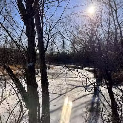 Three Creeks Park Dog Park - Columbus, OH