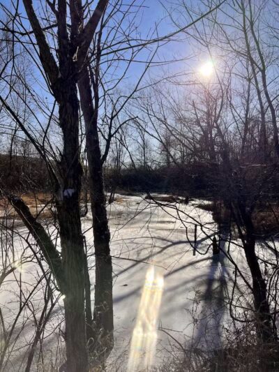 Three Creeks Park Dog Park - Columbus, OH