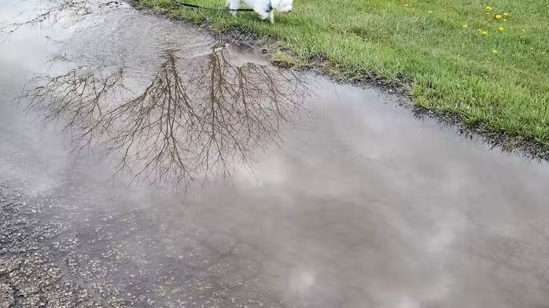 Three Creeks Park Dog Park - Columbus, OH