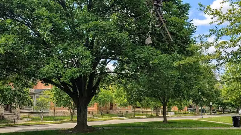 Thurber Park - Columbus, OH