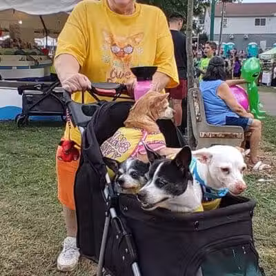 wagfest - Columbus, OH