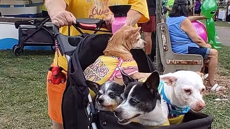 wagfest - Columbus, OH