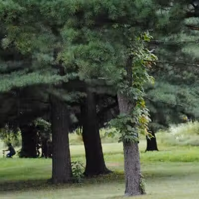 Walnut Hill Park - Columbus, OH