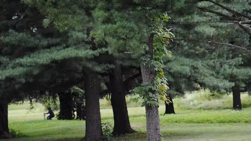 Walnut Hill Park - Columbus, OH