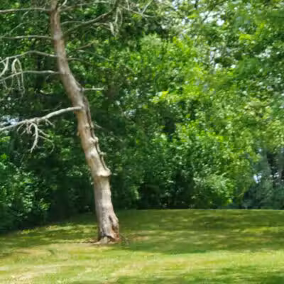 Walnut Hill Park - Columbus, OH