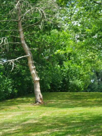 Walnut Hill Park - Columbus, OH