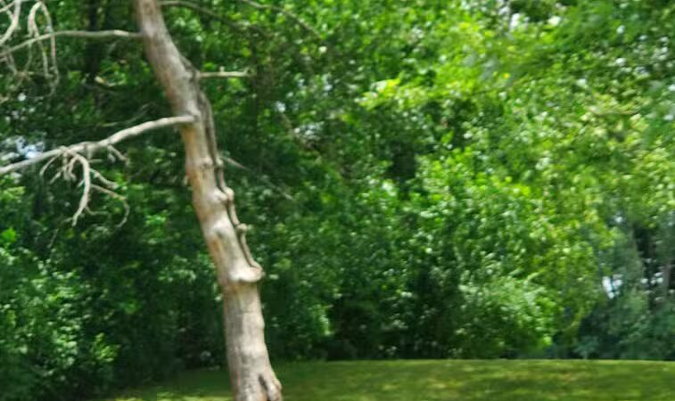 Walnut Hill Park - Columbus, OH