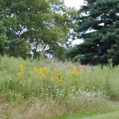 Walnut Hill Park - Columbus, OH